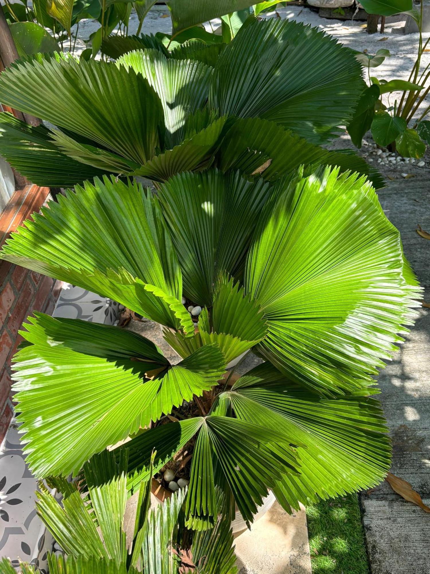 Golden Chenang Village 珍南海滩 外观 照片