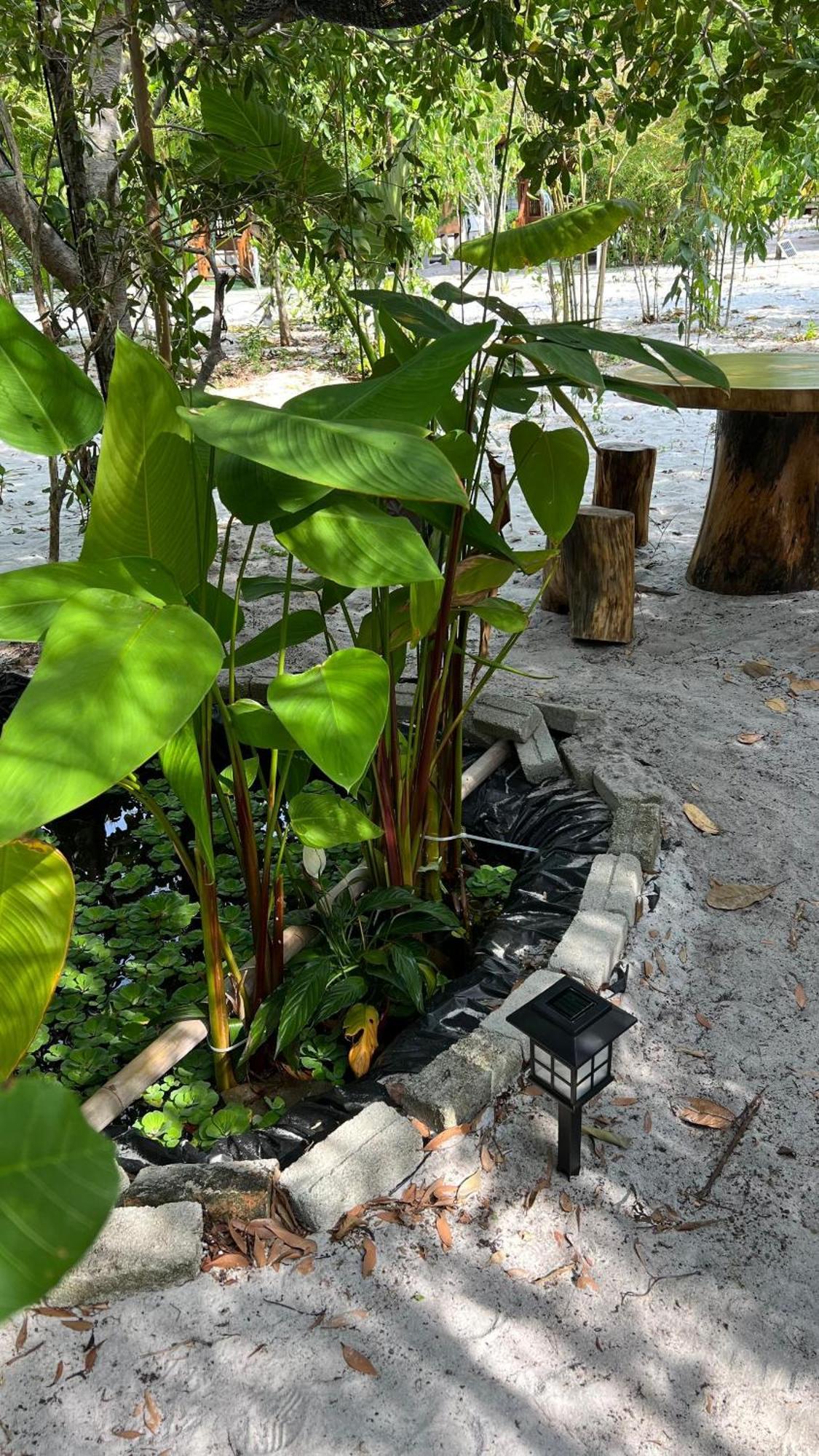 Golden Chenang Village 珍南海滩 外观 照片