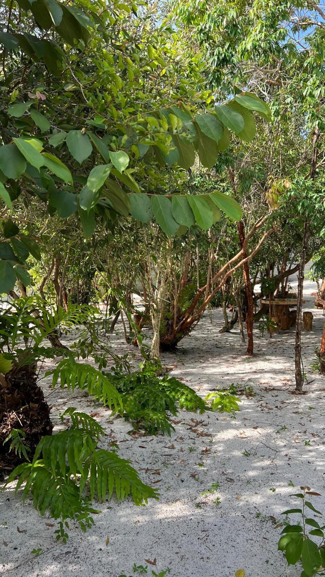 Golden Chenang Village 珍南海滩 外观 照片